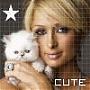   I love cats...memo