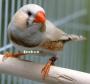 الصورة الرمزية jsshza