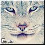 الصورة الرمزية C. мơ