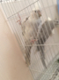 الصورة الرمزية abadi721
