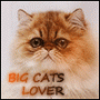   Big_Cats_Lover